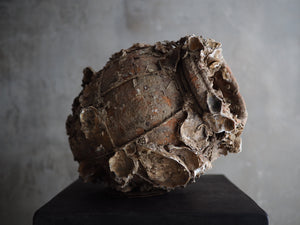 18th Century Shipwreck Amphora