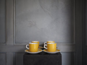 Lemon Ice Coffee Cup & Saucer
